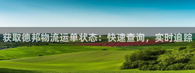 28圈网赌案件