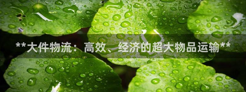 28圈激活码：**大件物流：高效、经