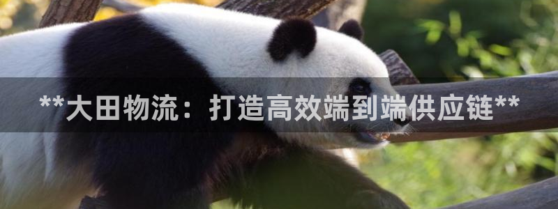 28圈加拿大怎么玩：**大田物流：打