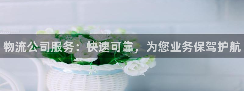28圈比特28真实吗：物流公司服务：