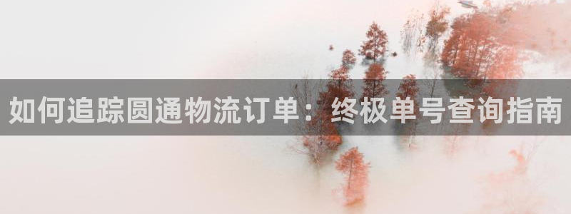 28圈预测加拿大：如何追踪圆通物流订