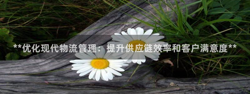 28圈连接：**优化现代物流管理：提