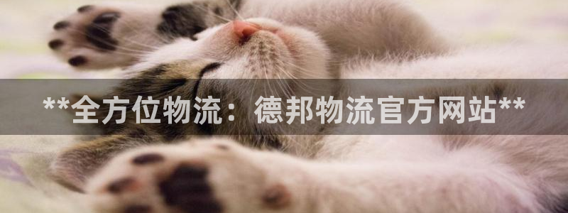 28圈app注册地址：**全方位物流