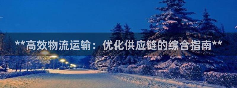28圈黑钱：**高效物流运输：优化供