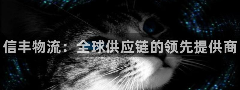 28圈链接来一个：信丰物流：全球供应