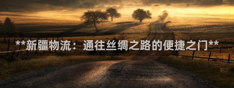 28圈注册网址百度知道：**新疆物流