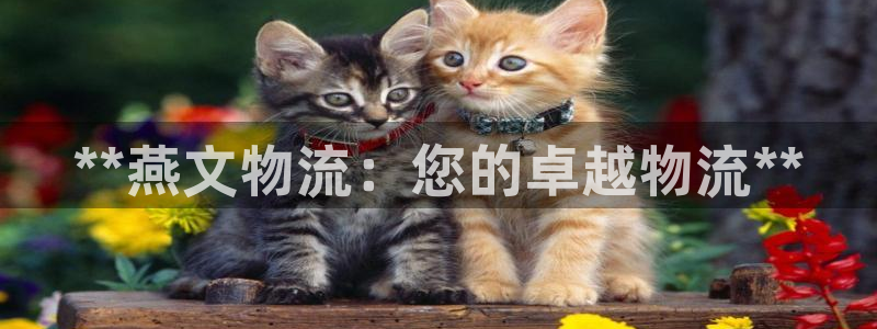28圈注册上限是啥意思：**燕文物流