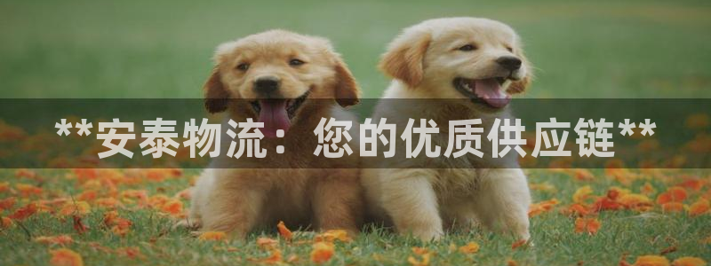 28圈.ccmpc是诈骗吗?：**安