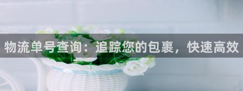 28圈加拿大28