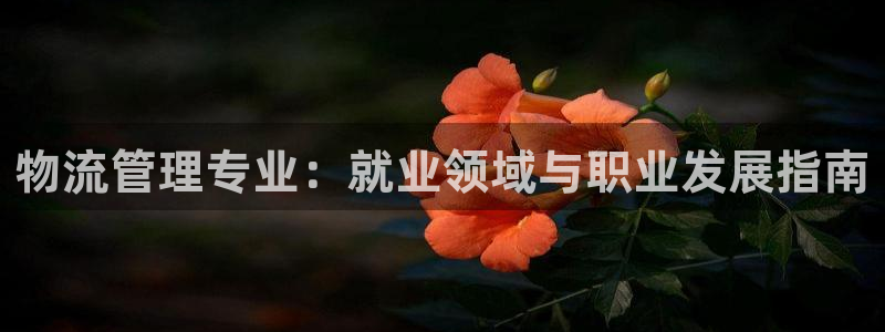 28圈怎么注册账号：物流管理专业：就