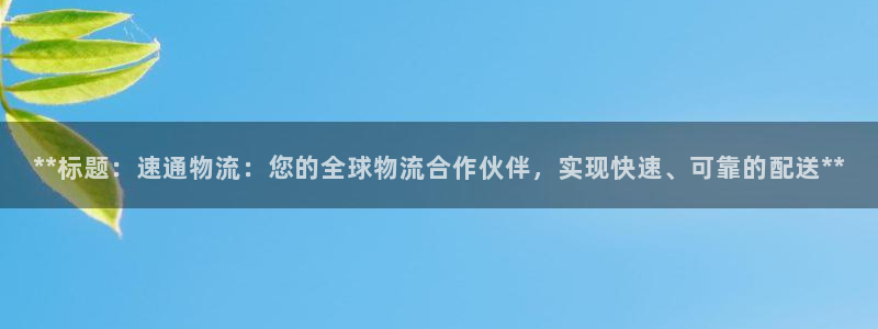 28圈吧：**标题：速通物流：您的全