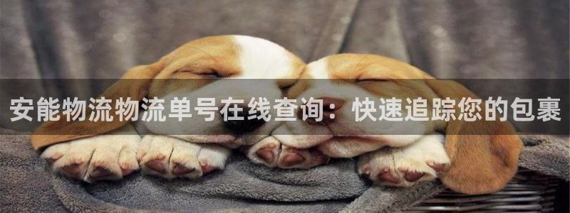 28圈注册网页：安能物流物流单号在线