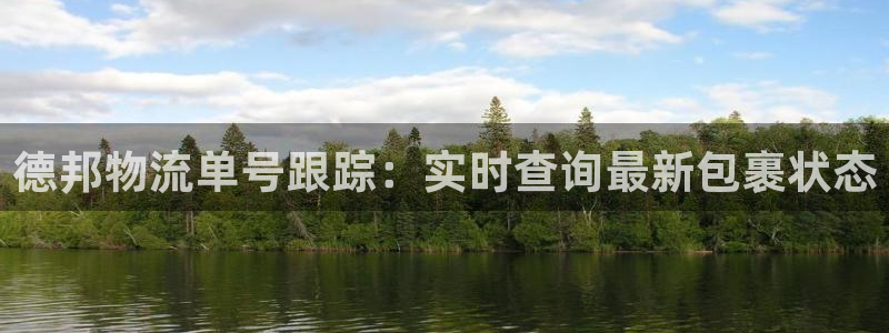 28圈如何退款：德邦物流单号跟踪：实