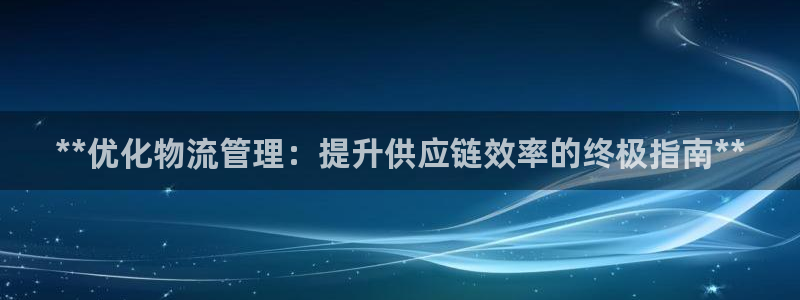 28圈预测：**优化物流管理：提升供