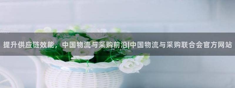 28圈.ccmapp