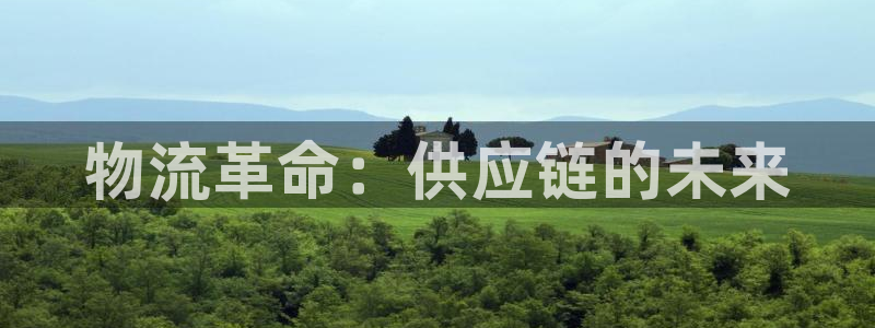 28圈p扣除是什么意思