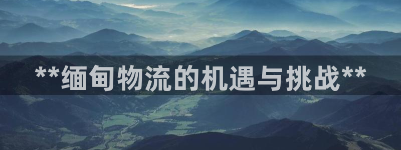 28圈软件