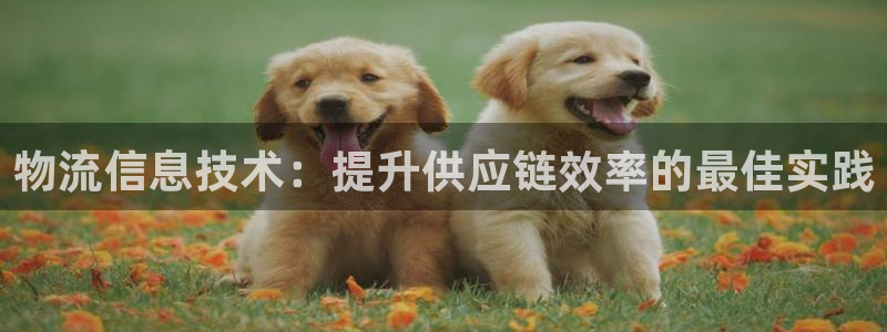 28圈自行车图片大全