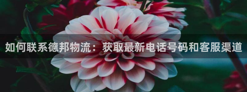 28圈模拟器在线使用