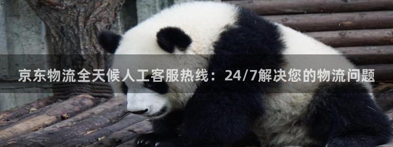 28圈.ccm南宫