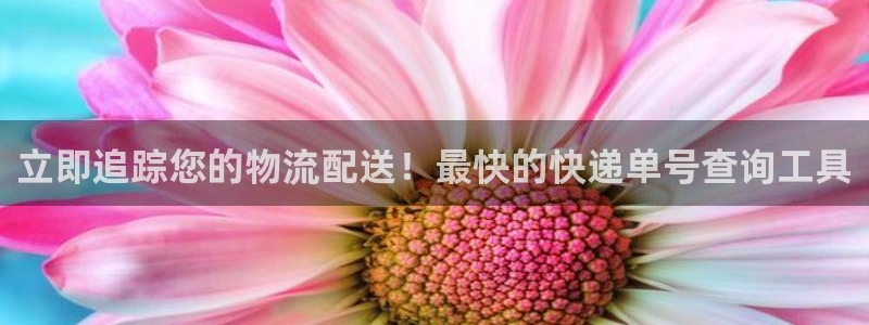 28圈比特28真实吗：立即追踪您的物