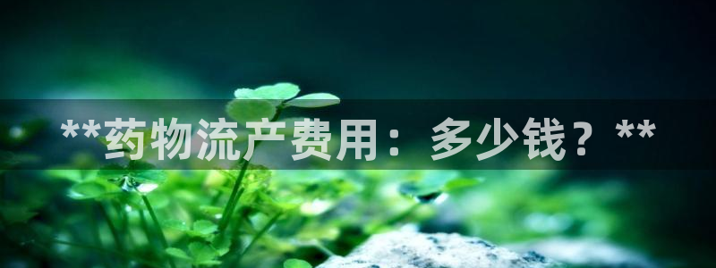 28圈加拿大模拟器