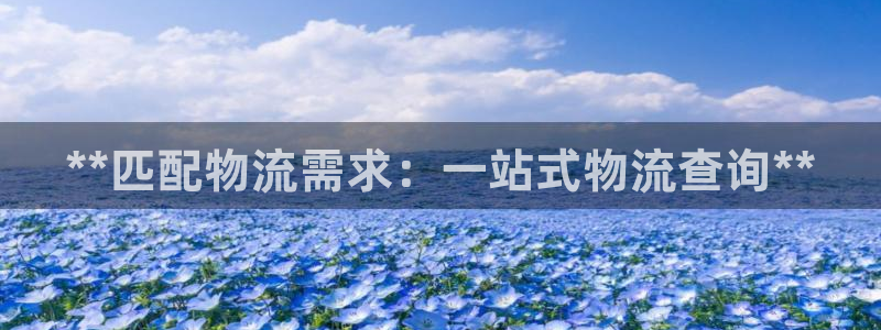 28圈官网链接