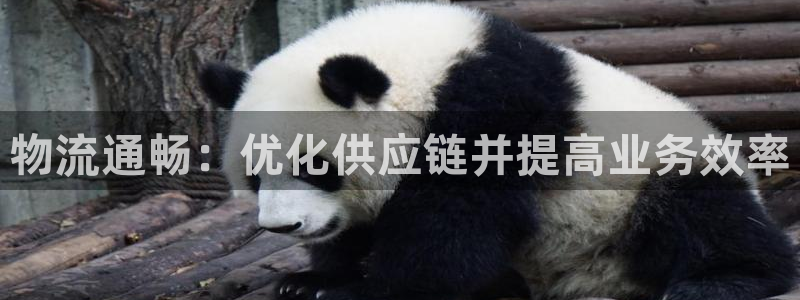 28圈客服一直不回消息怎么办：物流通