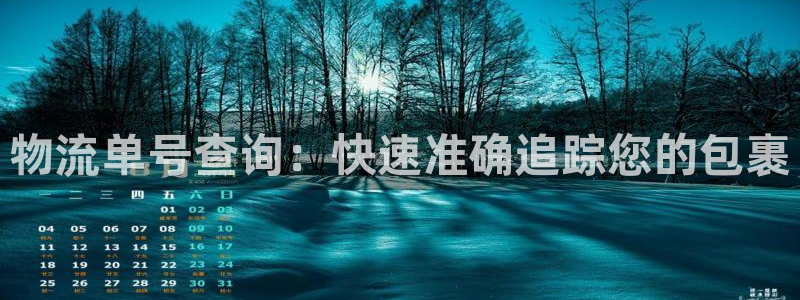 28圈登录流程：物流单号查询：快速准
