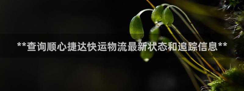 28圈稳吗：**查询顺心捷达快运物流