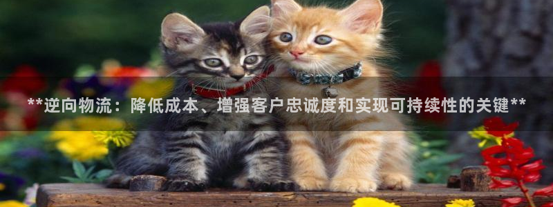 28圈在线预测