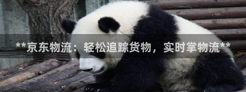 28圈官方