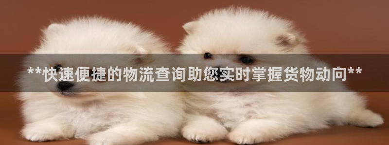 28圈游戏官网平台