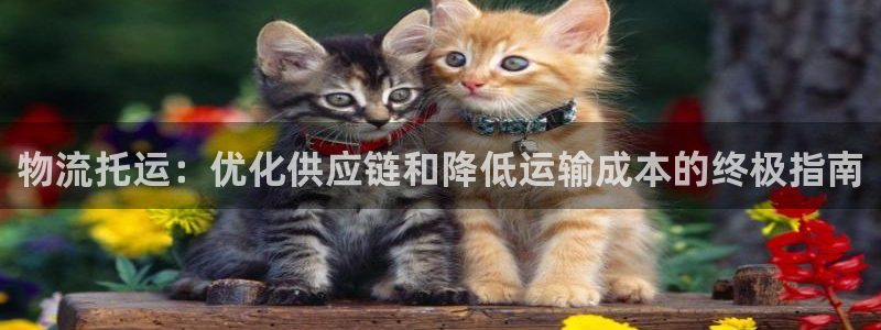 28圈注册网站：物流托运：优化供应链