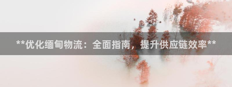 28圈怎么下载