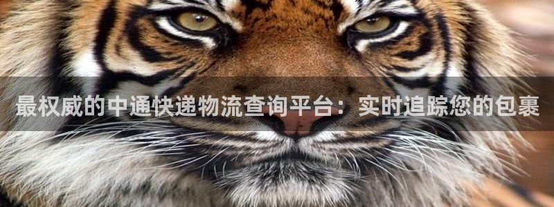 pc28圈怎么注册：最权威的中通快递