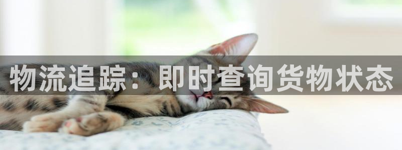 28圈充值不到账怎么办