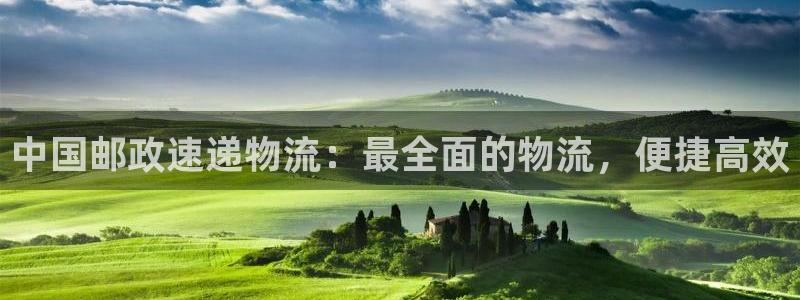 28圈龙虎