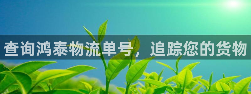 28圈黑钱