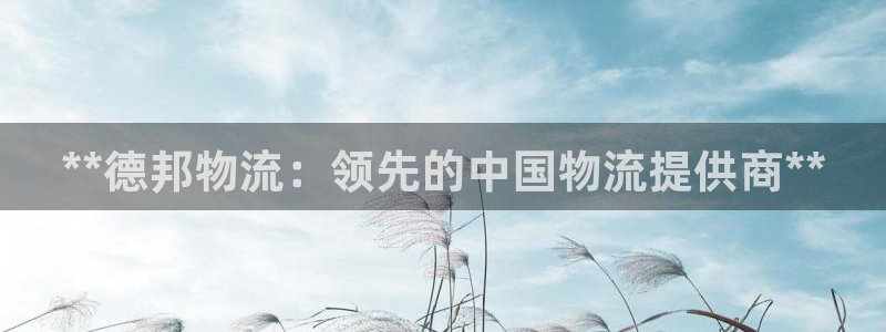 28圈游戏链接：**德邦物流：领先的