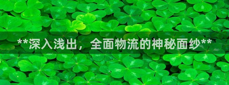 加拿大28圈数字规则