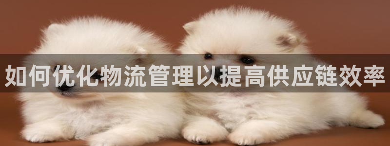 28圈下载链接是多少