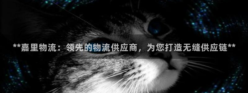 28圈充值不到账怎么办