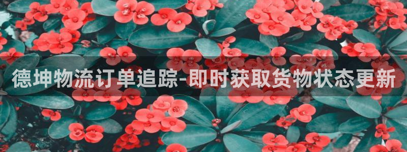 28圈是啥