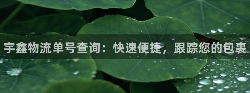 28圈是什么软件