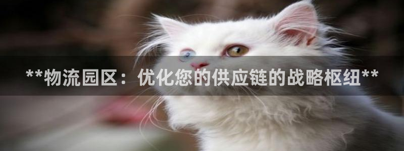 28圈娱乐官网网页：**物流园区：优