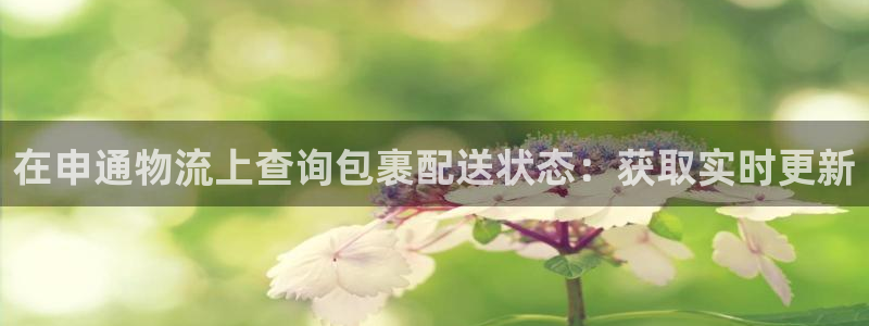 28圈注册网站APP：在申通物流上查