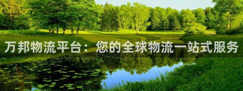 28圈官网平台