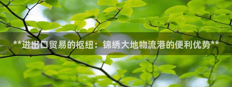 28圈游戏官网入口