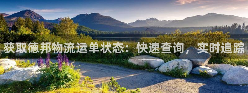 28圈退款